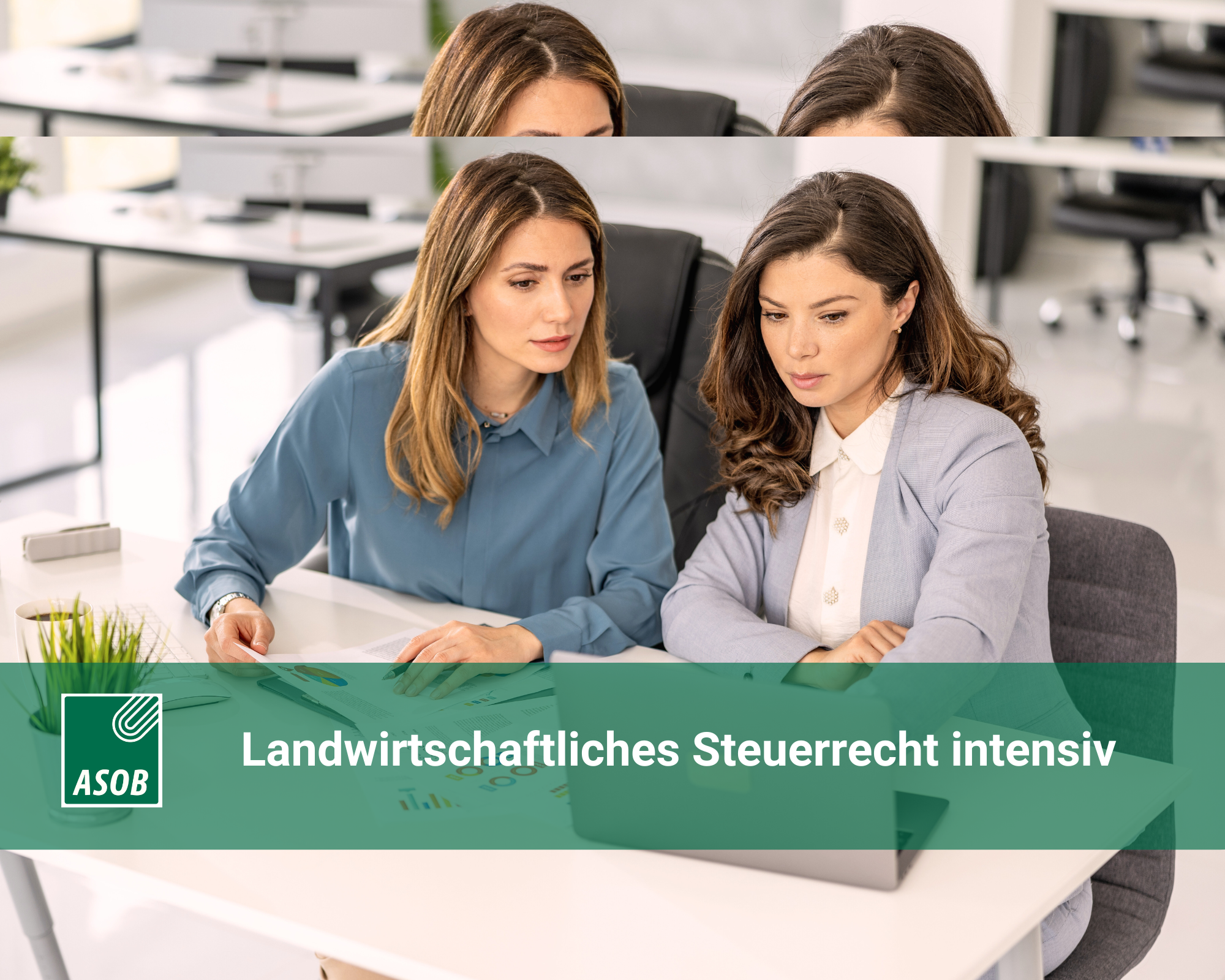 Landwirtschaftliches Steuerrecht intensiv